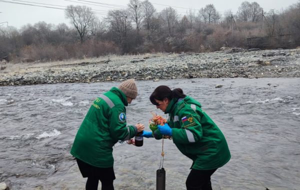 Специалисты ФГБУ ЦЛАТИ по Республике Северная Осетия-Алания провели проверку  в районе реки Фиагдон